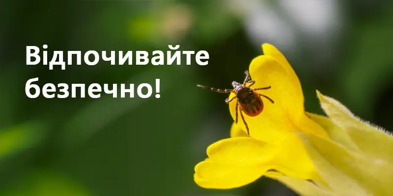 Зображення до статті про небезпеку кліщів